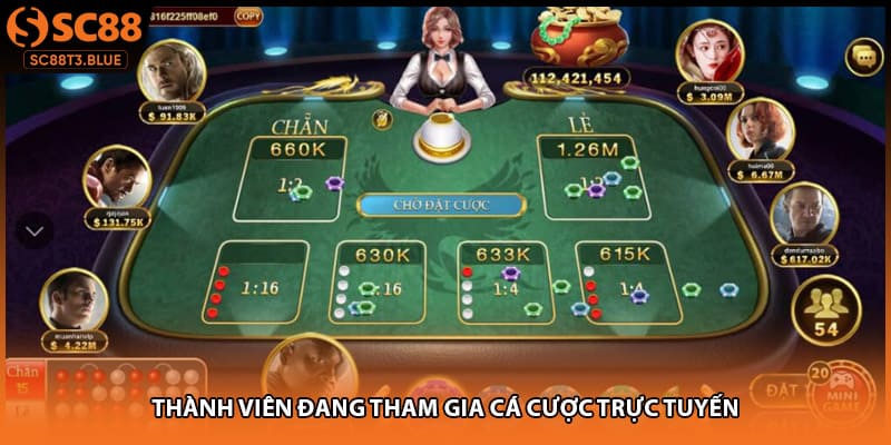Thành viên đang tham gia cá cược trực tuyến